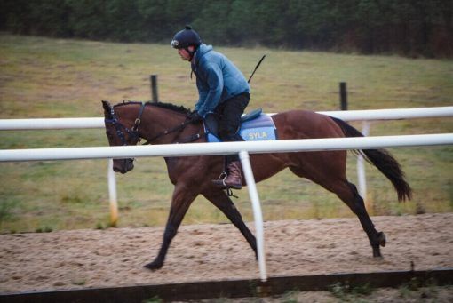 The Mission - Hanaan