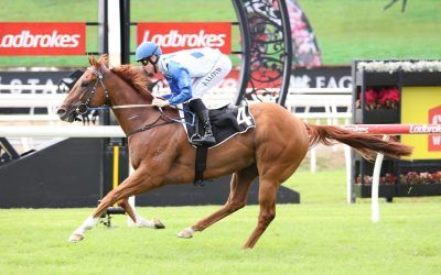 A Double Stylish Week!