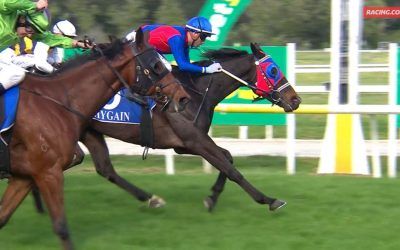 Straight Back And Macedon Hard Fit!