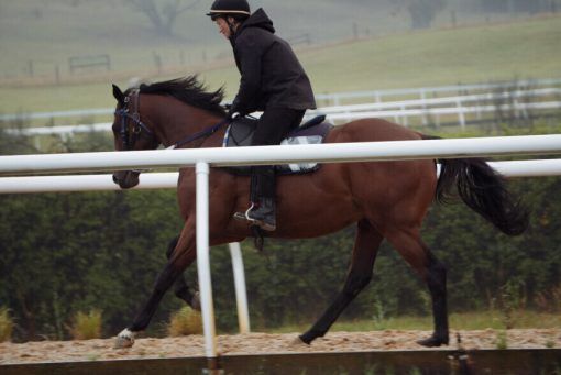 Overshare - My Paige Three