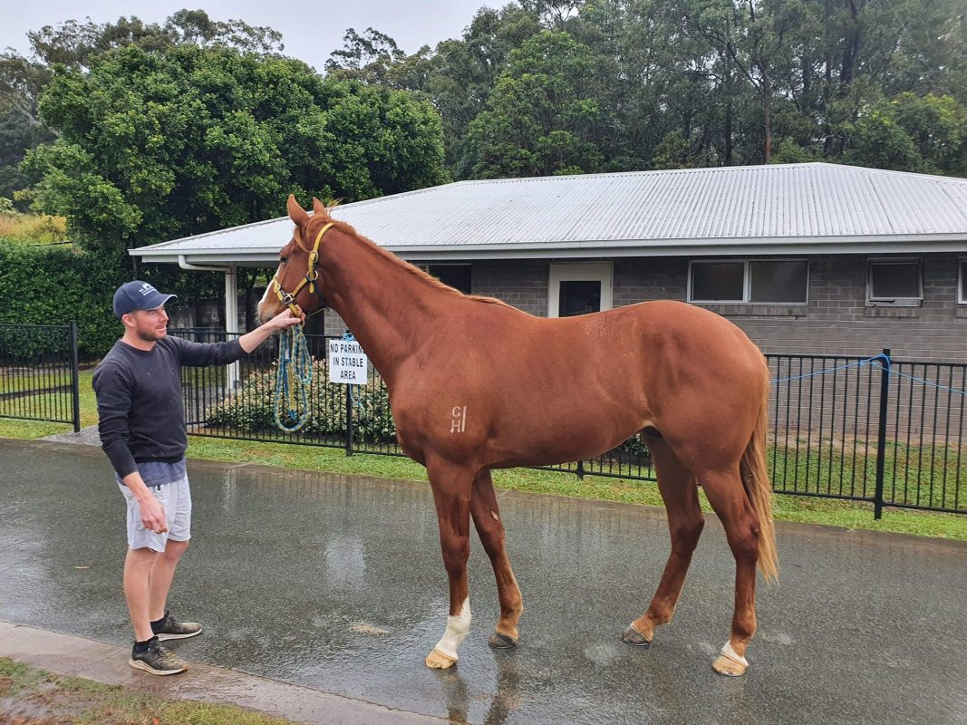 Lika Wreckin’ Ball