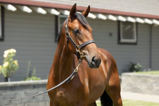 Reliable Man - Arapaho Miss