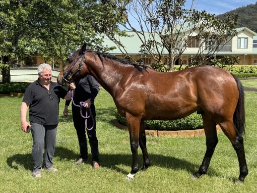 Overshare - My Paige Three