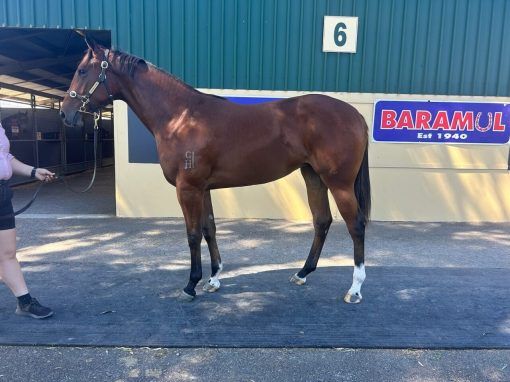 Headwater - So Stylish