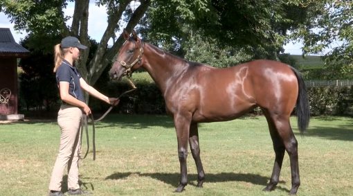 Preferment - Sea Spray