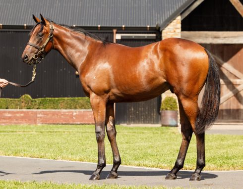 Un-named (In The Congo - Bellissima Miss)