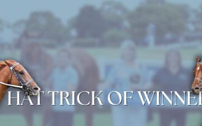 Hitting the ground running with Three Winners