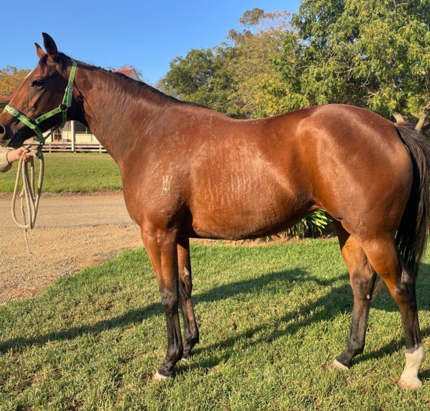 Un-named (Prized Icon – All Going Well)