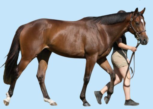 Un-named (Alabama Express - Inner Peace)