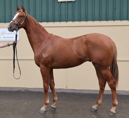 Un-named (Best Of Bordeaux - Whisper Bay)