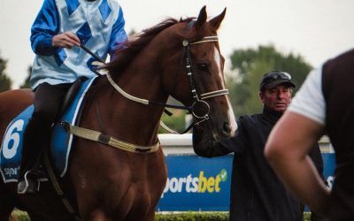 Stable Stars return to Caulfield