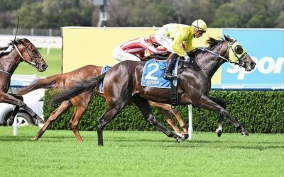 McWoody Impresses First-Up for Symons & Laxon