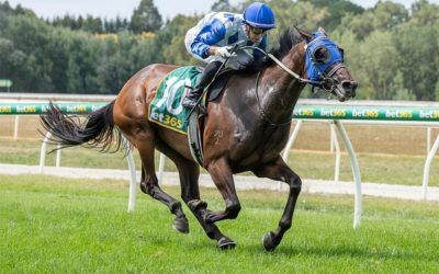 Two States, Four Stars: Macedon Racing’s Weekend in Full Swing