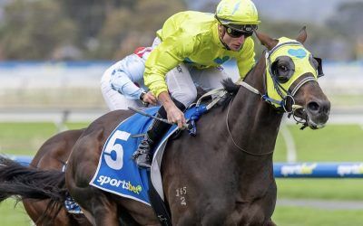 McWoody Delivers Again with Gritty Listed Guineas Victory
