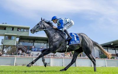 Il Patrigno Breaks Through in Style at Seymour