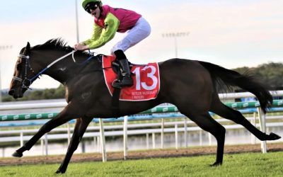 Weekend Showdown and Gold Coast excitement