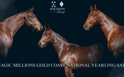 Three Standout Buys from the Gold Coast