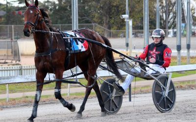 Marshall claims Warragul Cup with Can Be A Ruebe