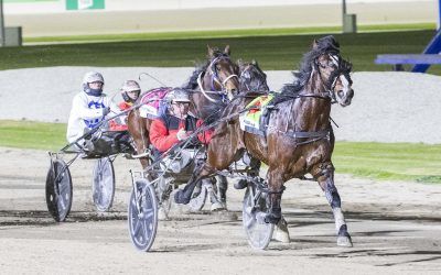 Mac’s back! Marshall’s top pacer returns to winning ways