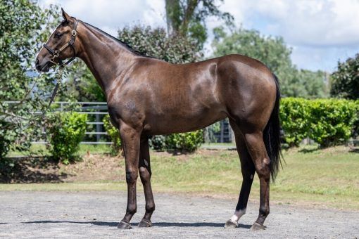 Un-named (Hitotsu - Ruby Falls)