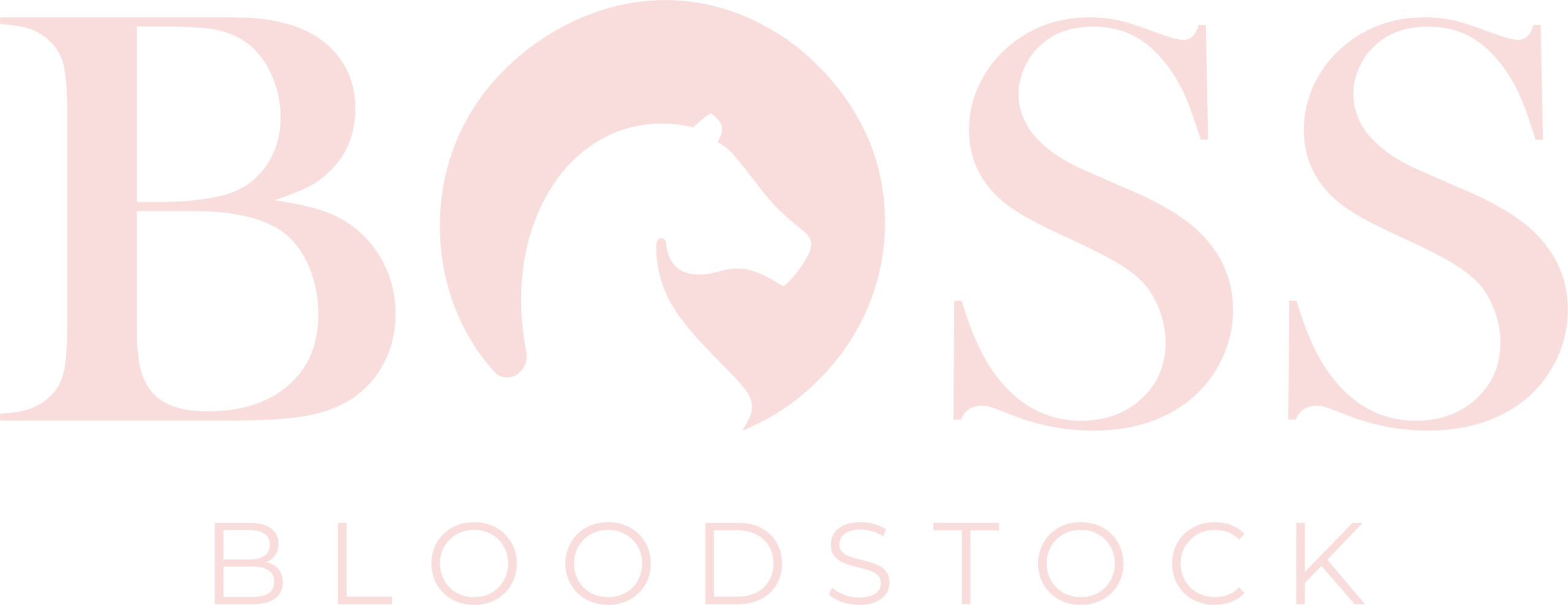 Boss Bloodstock