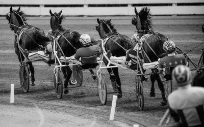 What Does It Cost to Own a Percentage of a Racehorse?