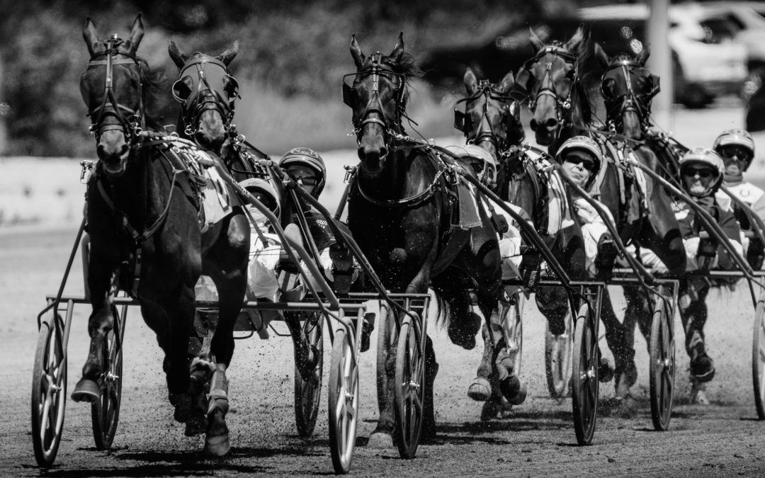 How Fractional Standardbred Ownership Works