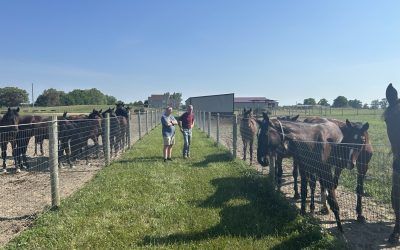 Inside the Stable: Training, Racing and Ownership Update