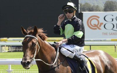 CHOSEN PRAYER SALUTES AT GOSFORD – MAN OF MELODY FALLS JUST SHORT
