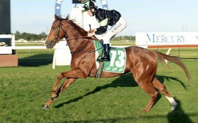 PIROLO BREAKS THROUGH FOR O’DEA