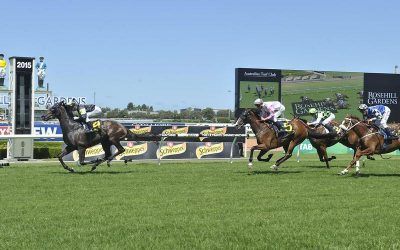 PROVEN THOROUGHBREDS KICKS OFF 2015 IN STYLE