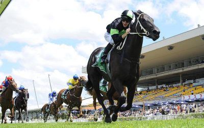 ADORABLE! MARE FINALLY BREAKS CITY DROUGHT