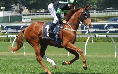 SIR MOMENTS CHARGES BACK TO FORM