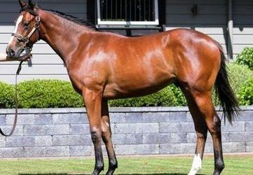 Sad end to promising three-year-old