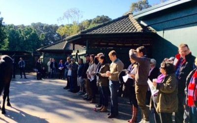 Yearling Parade a Proven Success
