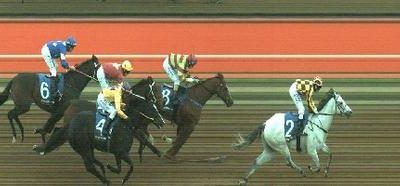 Pedigree Update For SEBRING Colt