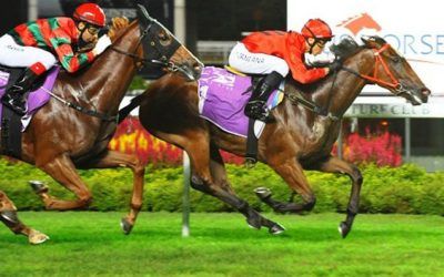 Another Pedigree Update for EQUIANO filly