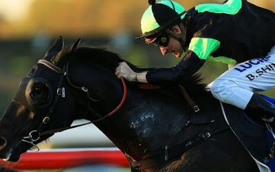Narrow STAKES Miss for Dragon!