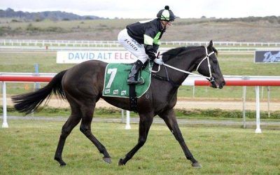 ​Trip to Brisbane pays off for Anecdote