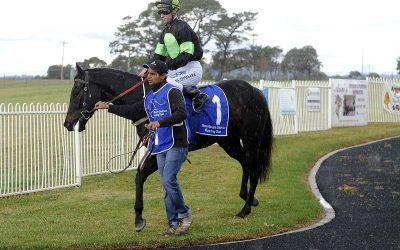 Anecdote swoops to victory!