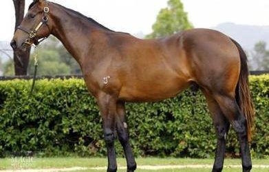 ​UNYIELDING brings up second winner this week for Proven!