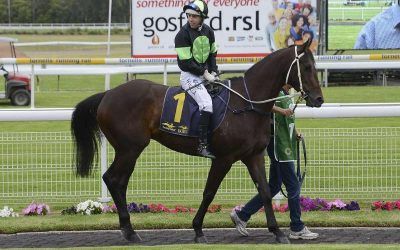 ​Gutsy effort sees LOTHARIO back in the winners’ stall!