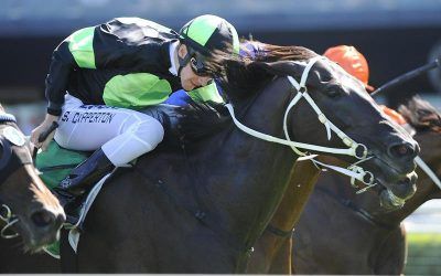 ​New South Wales prizemoney reaches elite level