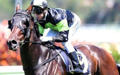 ​ASIC’s Key Changes to Horse Racing Syndicates