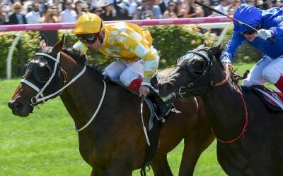 COMIN’ THROUGH..Another Big Pedigree Update for CHOISIR Colt!