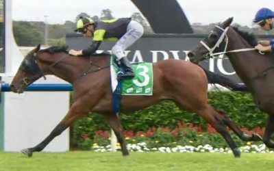 Thewayweare brings up fifth career win