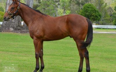 ​Colt from a Redoute’s Choice mare secured for $60k