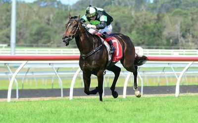 ​SCALLOPINI back to winning ways