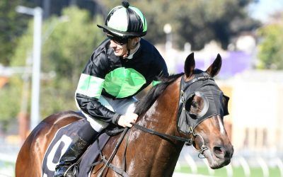 Sesar reigns supreme in Roman Consul Stakes