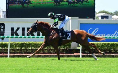 The Week Ahead FEB 18-24: Team of 5 for Eagle Farm